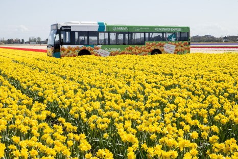Keukenhof Express 2