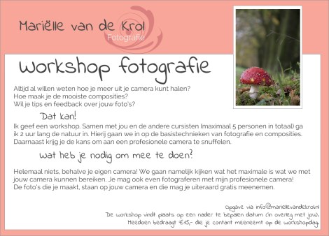 Workshop fb