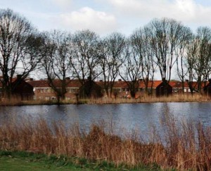 petteplas